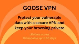 GOOSE VPN app protecting user data and private browsing on multiple devices